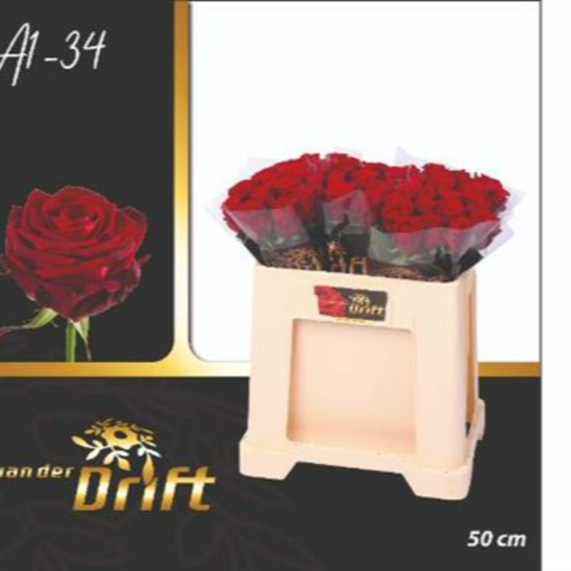 Giełda Franowo – Platforma Handlowa. Róża Red Naomi 60cm