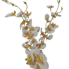 Obrazek Gałązka Storczyka Oncidium
