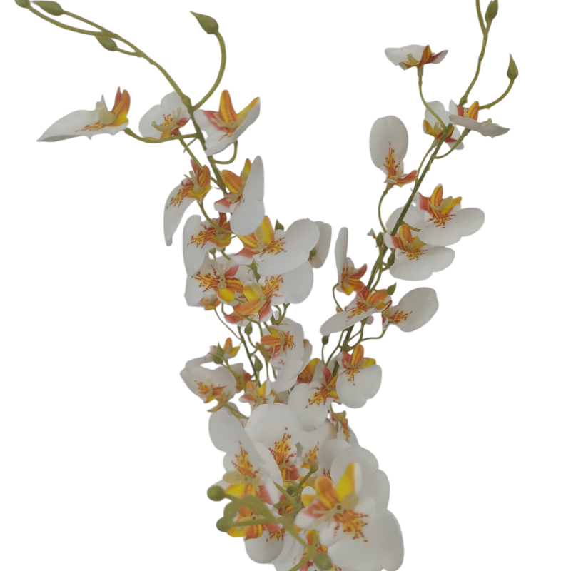 Obrazek Gałązka Storczyka Oncidium