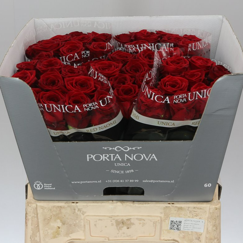 Giełda Franowo – Platforma Handlowa. Róża Red Naomi 60cm