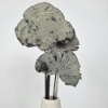 Obrazek Huba/spong mushroom flock (opakowanie 6 szt)
