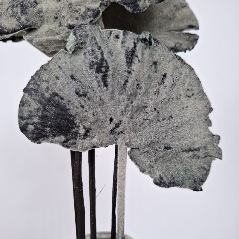 Obrazek Huba/spong mushroom flock (opakowanie 6 szt)