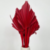 Obrazek Palm spear duży czerwony (opakowanie 10 szt.)