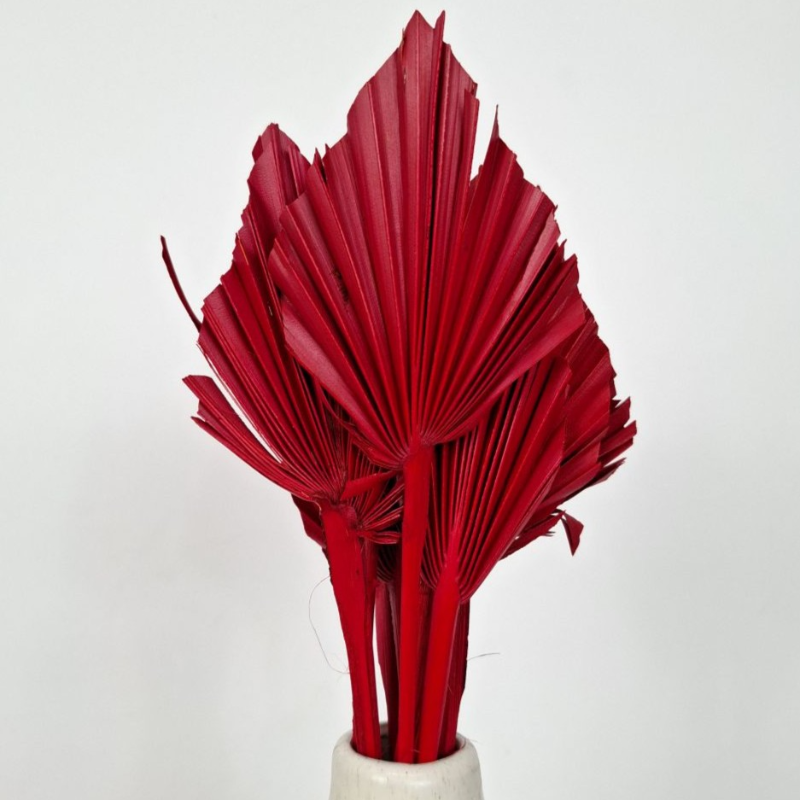 Obrazek Palm spear duży czerwony (opakowanie 10 szt.)