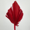 Obrazek Palm spear duży czerwony (opakowanie 10 szt.)