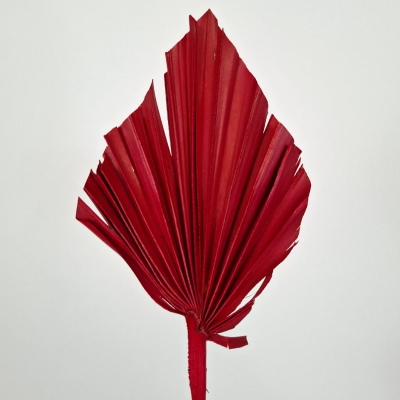 Obrazek Palm spear duży czerwony (opakowanie 10 szt.)