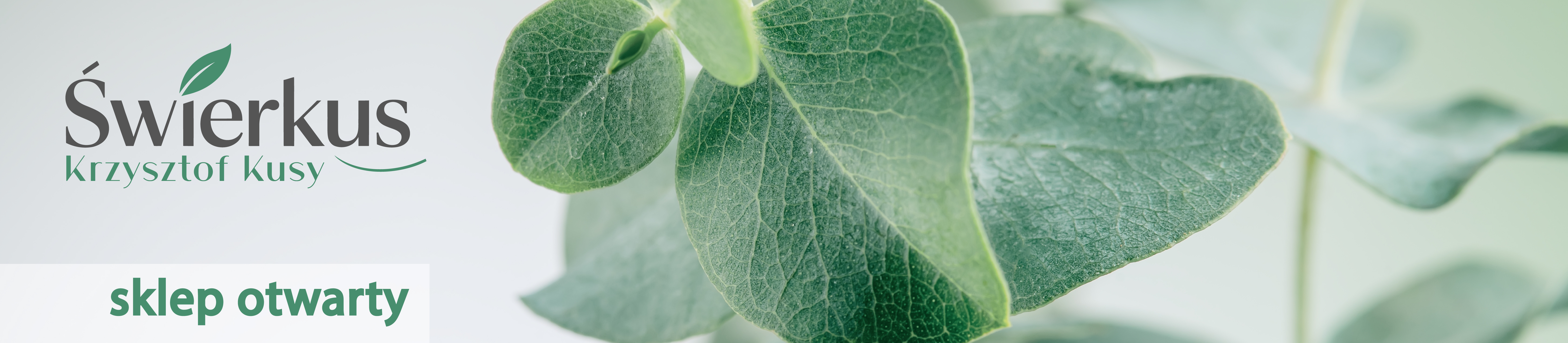 Banner1 - Świerkus